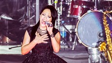 Lucie Bílá, koncert Fifty Fifty (O2 arena, Praha, 8. ledna 2017) Lucie Bílá, koncert Fifty Fifty (O2 arena, Praha, 8. ledna 2017)