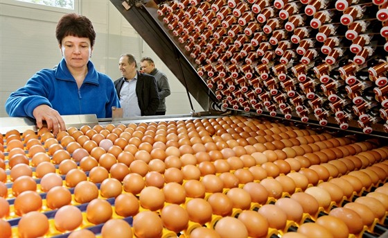 Obchodníci predikují na pedvánoním trhu nedostatek vajec.