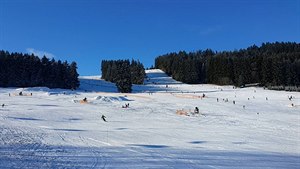 Lipno: Lyování u korun strom i bobové dráhy