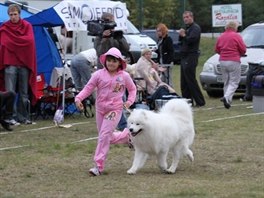 Samojed v pohybu veden mladou slenou