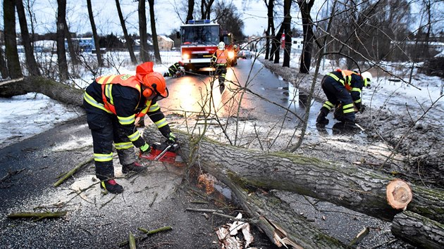 Hasii odstraují padlé stromy na silnici ze Staré Role na Rosnice. (13. ledna...