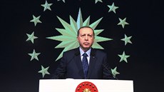 Ústavní zmny schválené parlamentem mají posílit pravomoci Erdogana 