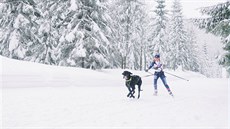 O teplotní výkyvy rozhodn nebude nouze ani v rezervaci Haliburton Forest v...