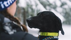 O teplotní výkyvy rozhodn nebude nouze ani v rezervaci Haliburton Forest v...