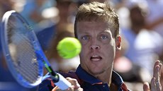 eský tenista Tomá Berdych v duelu s Amerianem Harrisonem.