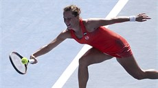 Barbora Strýcová v semifinále na turnaji v Sydney Barbora Strýcová v semifinále na turnaji v Sydney