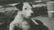 Karel apek, fotografie Dáeky, 1932