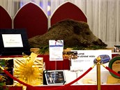 Tombola na prezidentském plese na Hradě (20. ledna 2017) Tombola na prezidentském plese na Hradě (20. ledna 2017)