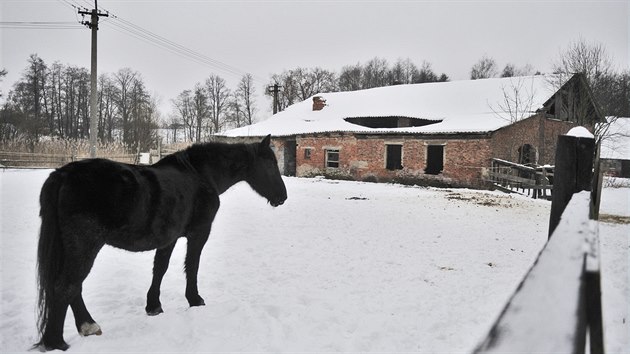 Arel Reindlerova dvora v Jihlav. Premonstrti ho pronajali soukrom firm, kter by tu chtla vybudovat hotel, vletn restauraci i dtsk zookoutek.