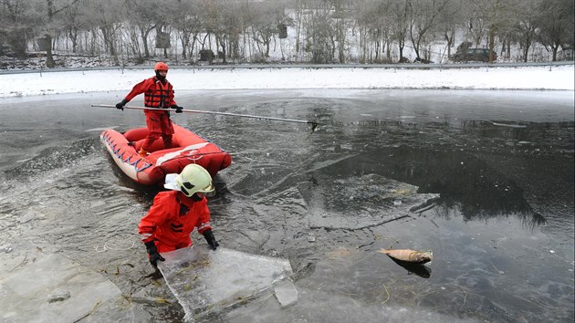 Trojice prasat se utopila pot, co se pod nimi propadl led na zamrzlm rybnce (24.1.2017).