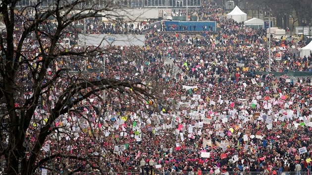 Manifestace za prva en ve Washingtonu (21. ledna 2017)