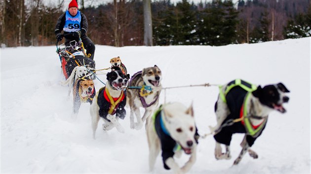 Devadest musher se speenmi vyjelo do vodn etapy edivkova longu (25.1.2017).