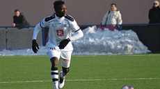 Olivier Mbaizo v dresu Hradce Králové. Olivier Mbaizo v dresu Hradce Králové.