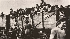 Peiví holokaustu pi 70. výroí osvobození Osvtimi (27. ledna).