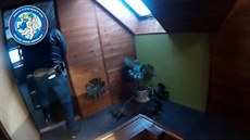 Policisté zadrželi tři osoby odsouzené za kuplířství Policisté zadrželi tři osoby odsouzené za kuplířství
