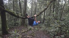 Během túry v malajském pralese v oblasti čajových plantáží Cameron Highlands si... Během túry v malajském pralese v oblasti čajových plantáží Cameron Highlands si...