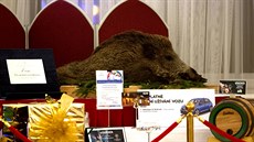 Tombola na prezidentském plese na Hradě (20. ledna 2017) Tombola na prezidentském plese na Hradě (20. ledna 2017)