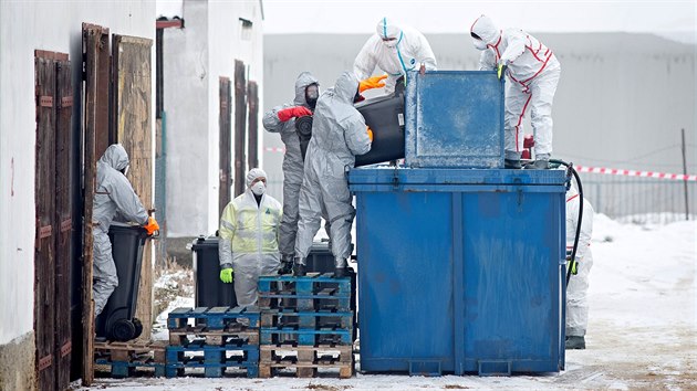 Pta chipka zashla komern chov ve Vlachov Bez na Prachaticku. V noru tam veterini a hasii utratili 17 tisc kachat.