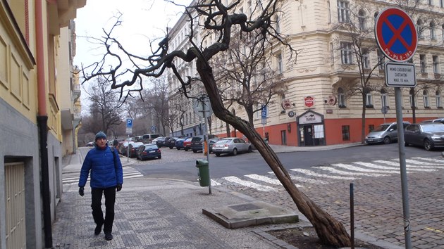 Naklonn akt ve vinohradsk ulici Anny Letensk.