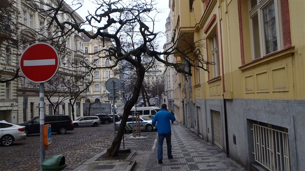 Naklonn akt ve vinohradsk ulici Anny Letensk.