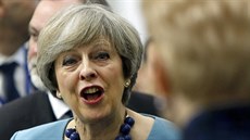 Britská premiérka Theresa Mayová na neformálním summitu EU na Maltě (3. února... Britská premiérka Theresa Mayová na neformálním summitu EU na Maltě (3. února...