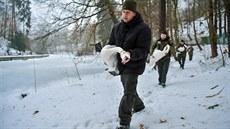 Zoologové v pondělí preventivně přesunuli do vnitřních prostor kachny a labutě... Zoologové v pondělí preventivně přesunuli do vnitřních prostor kachny a labutě...