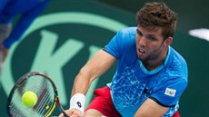 Jiří Veselý během utkání prvního kola Davis Cupu v Austrálii. Jiří Veselý během utkání prvního kola Davis Cupu v Austrálii.