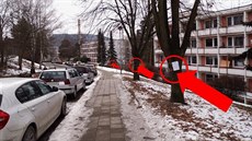 Část ze stromů připravených ke kácení v Družstevní ulici ve Zlíně. Část ze stromů připravených ke kácení v Družstevní ulici ve Zlíně.
