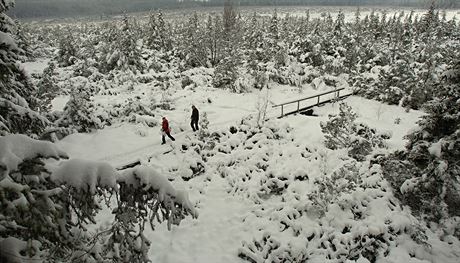 Poblí Jezerní slati je meteostanice Kvilda - Perla. (snímek je z roku 2014.)