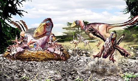 O hnízdním chování a péi o mláata u dromeosauridních teropod máme jen velmi...