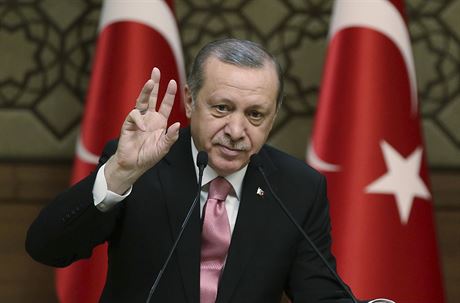 Turecký prezident Recep Tayyip Erdogan bhem projevu v Ankae (8. února 2017).