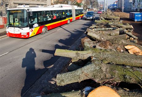 Pokácené stromy ve Stelecké ulici v Hradci Králové