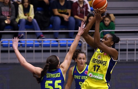 Sandrine Grudaová z Fenerbahce Istanbul stílí pes ruku Anete teinbergaové z...