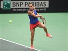 ZARPUTILOST. Barbora Strcov v utkn Fed Cupu proti Lae Arruabarrenov