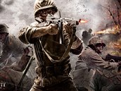 Call of Duty: World at War Call of Duty: World at War