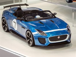 Jaguar F-Type Project 7