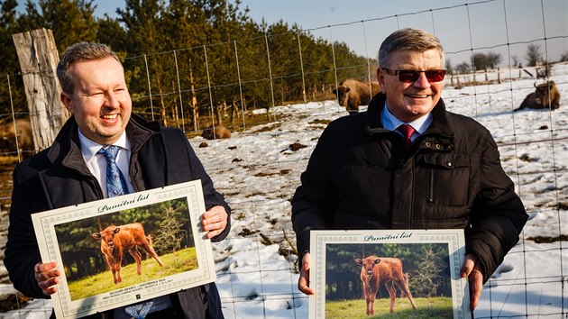 V bvalm vojenskm prostoru mezi Bentkami nad Jizerou a Milovicemi ministr ivotnho prosted Richard Brabec a benteck starosta Jaroslav Krl poktili prvn zde narozen mld zubra evropskho jmnem Tula.