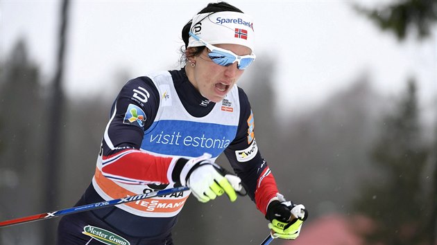 Norsk bkyn na lych  Norka Marit Bjrgenov na trati klasick destky v Otep.