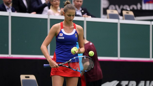 Karolna Plkov se chyst na servis ve Fed Cupu.