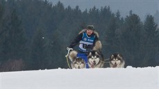 V Zásadě se konalo mistrovství ČR psích spřežení (11. února 2017) V Zásadě se konalo mistrovství ČR psích spřežení (11. února 2017)