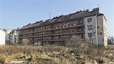 Pavlaový dm na Jatení tíd v Plzni. (15. února 2017)