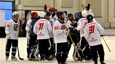 Radost českých bandy hokejistů. Radost českých bandy hokejistů.
