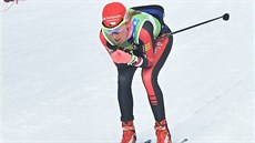 eská bkyn na lyích Kateina Smutná na trati Jizerské padesátky.