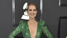 Céline Dion na udílení cen Grammy (Los Angeles, 12. února 2017)