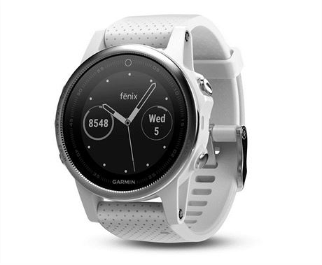 Garmin fnix5s