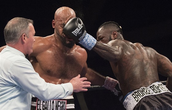 Deontay Wilder zasypává tvrdými ranami Geralda Washingtona, duel o titul WBC...