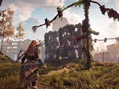 Horizon: Zero Dawn (PS4)