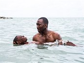 Z filmu Moonlight Z filmu Moonlight