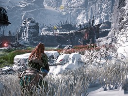 Horizon: Zero Dawn (PS4)