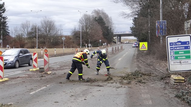 V Ostrav-Porub spadl na projdjc auto vysok smrk (24. nora 2017)